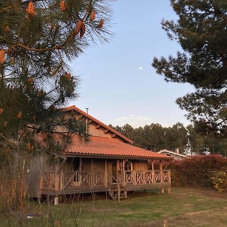 Le Gite De L'Aerogrange Biscarrosse Exterior photo